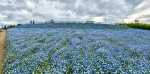 高崎東町店 Gwにオススメ 当店スタッフが教える県内一押しスポット 高崎東町店 Gtoyota Com 群馬トヨタ 高崎東町店 Gwにオススメ 当店スタッフが教える県内一押しスポット 高崎東町店 Gtoyota Com 群馬トヨタ