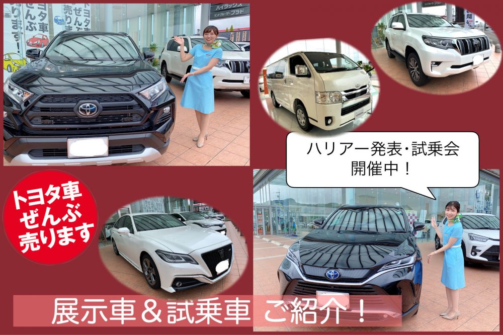 展示車 試乗車 新型ハリアー 新型ヤリス プラド Rav4 クラウン ハイエース等人気車種揃ってます 店舗ブログ Gtoyota Com 群馬 トヨタ