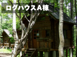 宿泊タイプ|ログハウスA棟