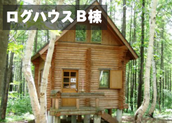 宿泊タイプ|ログハウスB棟