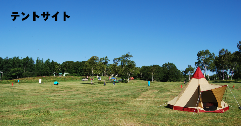 宿泊タイプ|テントサイト