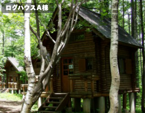 宿泊タイプ|ログハウスA棟
