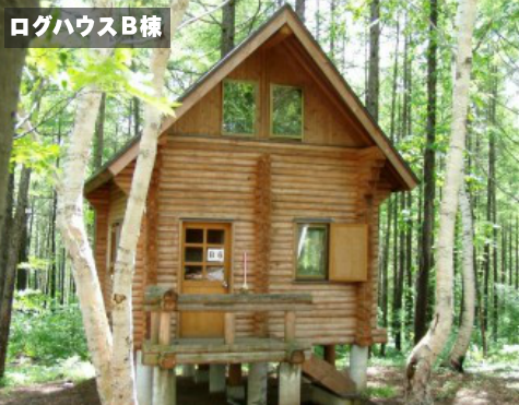 宿泊タイプ|ログハウスB棟